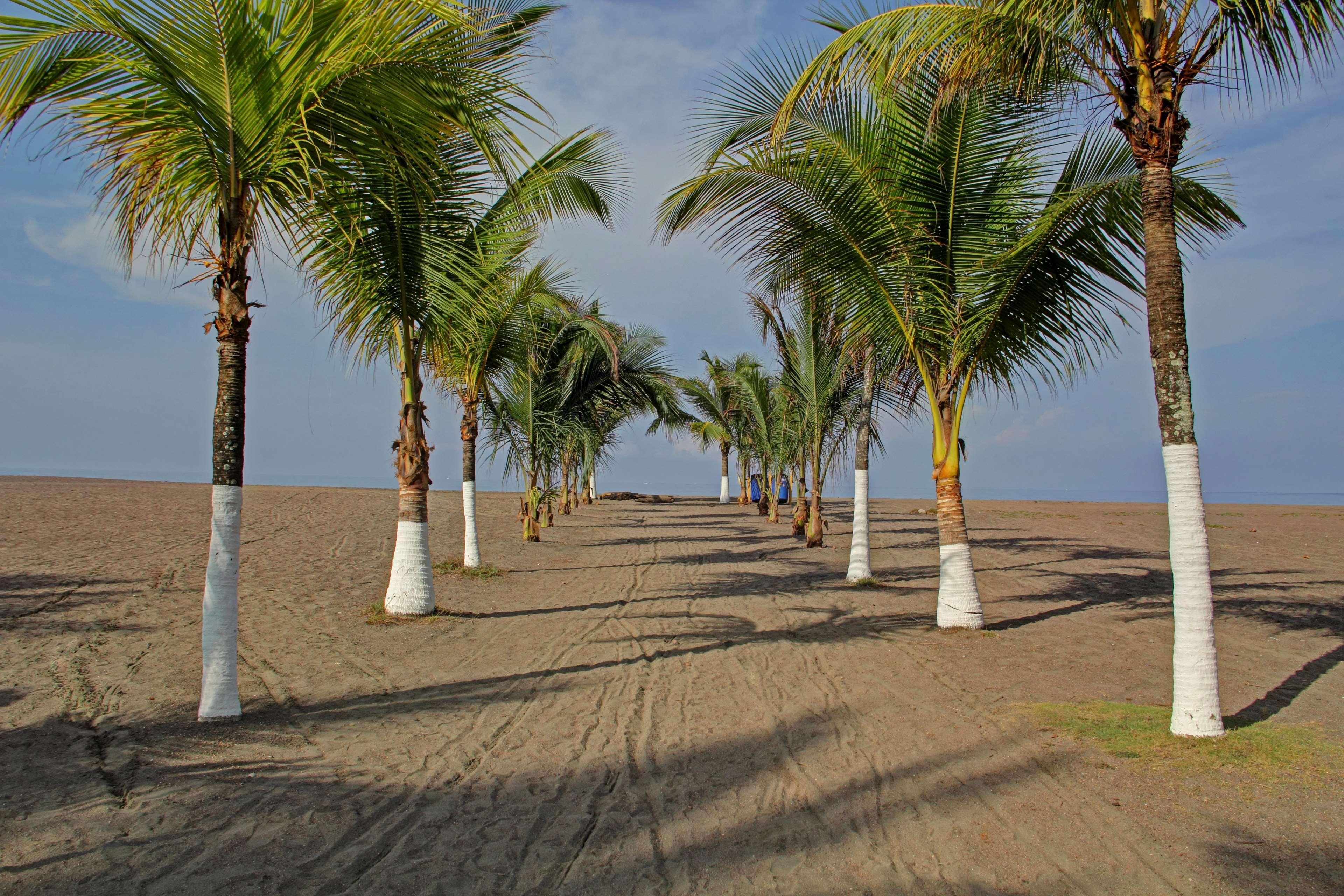 Best Western Jaco Beach Resort - Все включено Экстерьер фото